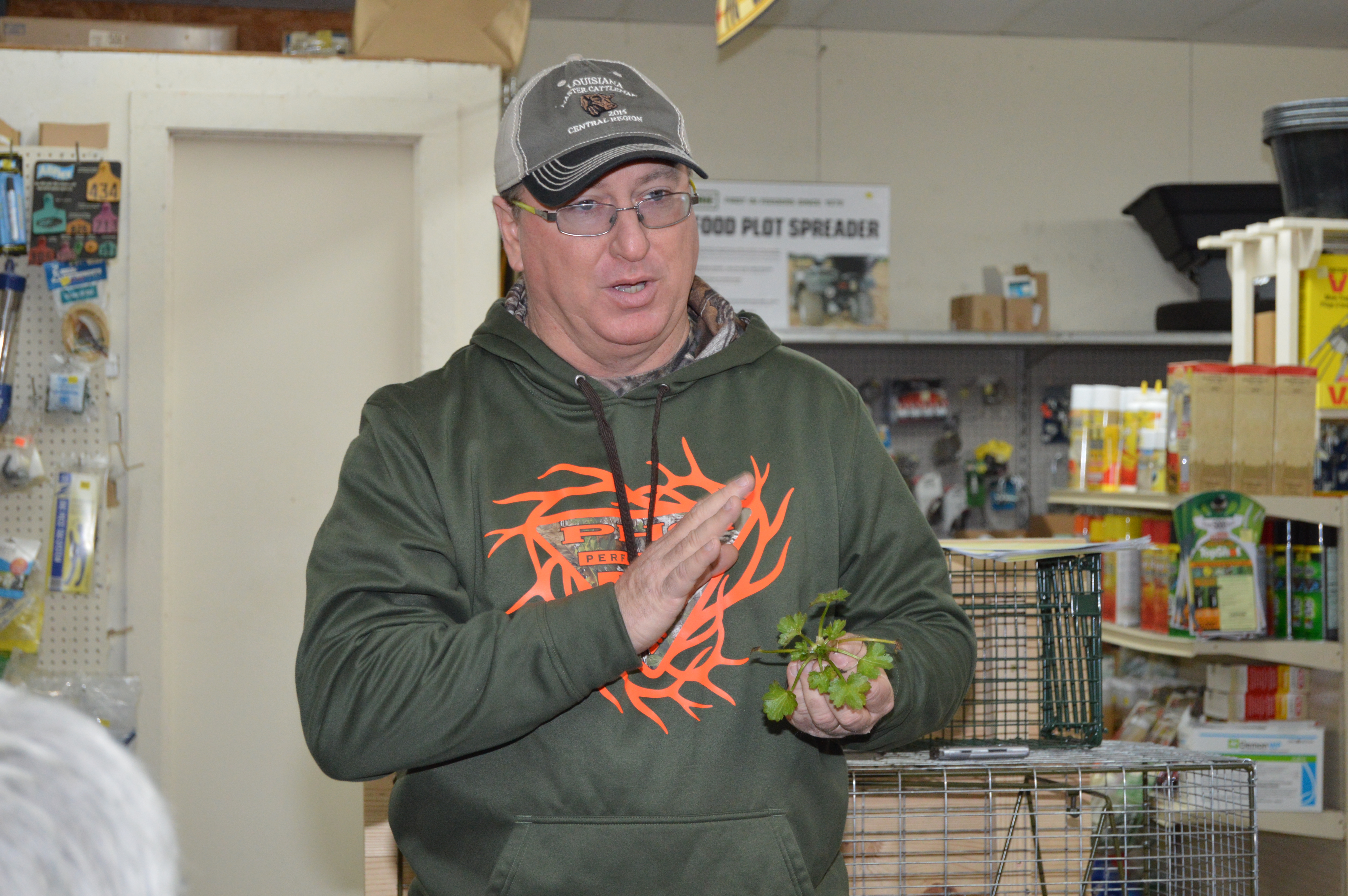 Forage management highlights cattle field day